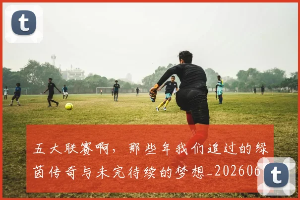 五大联赛啊，那些年我们追过的绿茵传奇与未完待续的梦想_20260611141040